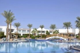 Panorama Naama Heights