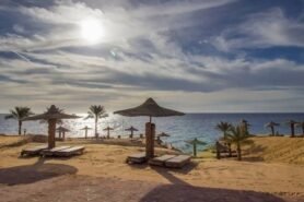 Monte Carlo Sharm Resort & Spa
