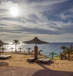 Monte Carlo Sharm Resort & Spa