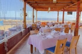 Sharm Reef