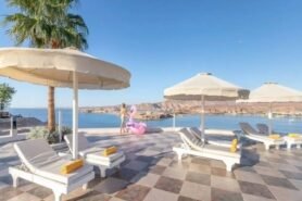 Albatros Sharm Resort (Ex. Beach Albatros)