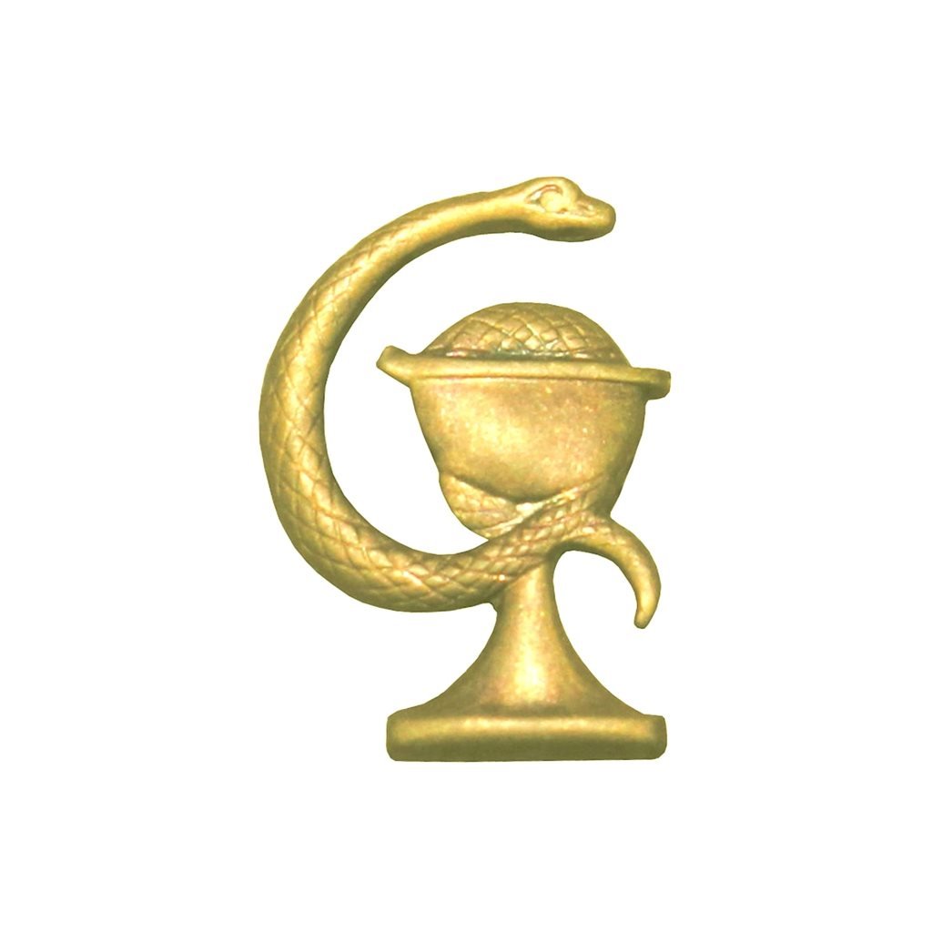 Odznak rozlišovací ČSLA/AČR ZDRAVOTNÍK zlatý