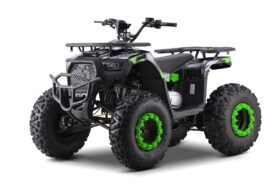 Tomido Dětská čtyřkolka MONSTER 200cc zelená