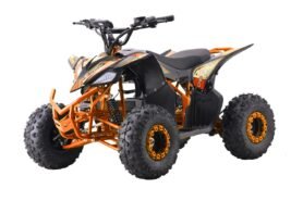Ramiz Elektrická čtyřkolka DESERT STORM LIFT | 800W oranžová