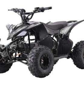 Ramiz Elektrická čtyřkolka DESERT STORM LIFT | 800W černá