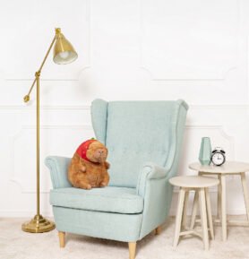 Tomido Plyšová Kapybara Rick hnědá 33 cm