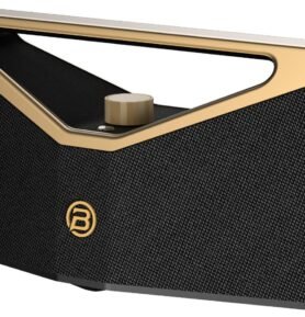 BUGANi Brief Pro Black+Gold