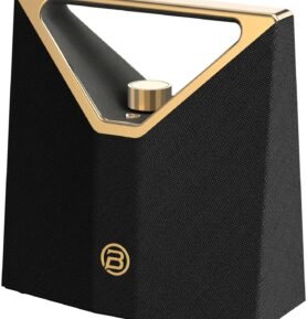 BUGANi Brief Plus Black+Gold