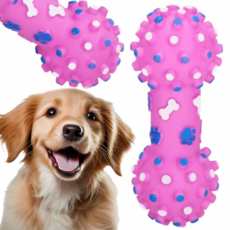 SPRINGOS Hračka pro psy - Činka pískací PA0286