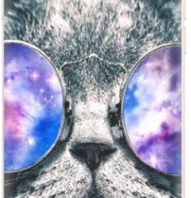 iSaprio Galaxy Cat pro iPhone 6