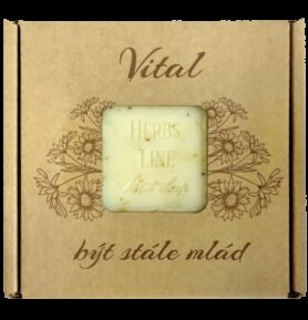 Přírodní mýdlo K-natur 100g VITAL