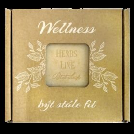 Přírodní mýdlo K-natur 100g WELLNESS
