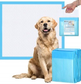 Springos Tréninková podložka pro štěňata 60x60 cm 10 ks PA2016 PA2016-XG