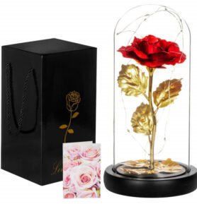 Věčná růže ve skle s led osvětlením SPRINGOS HA5157
