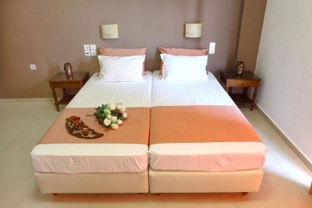 Stella Paradise - Obrázek 2