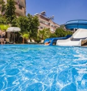 Kleopatra Royal Palm