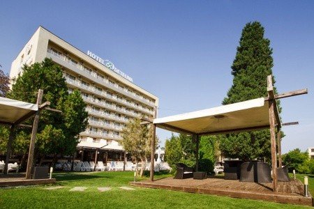 Detelina - Obrázek 2