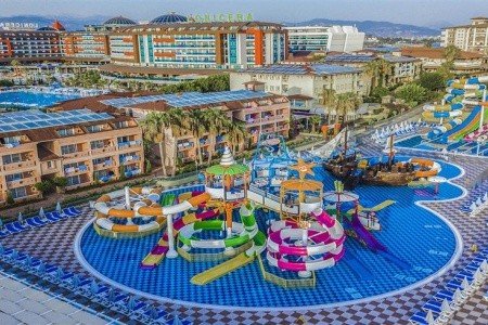 Lonicera Premium - Obrázek 4