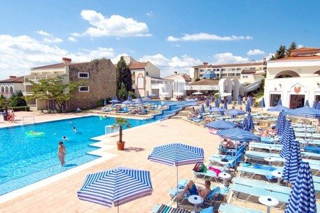 Pelican - Obrázek 3