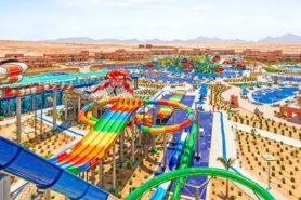 Pickalbatros Jungle Aqua Park By Neverland