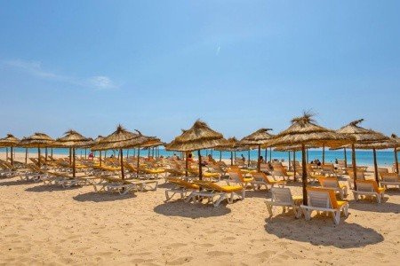 Shalimar - Obrázek 4