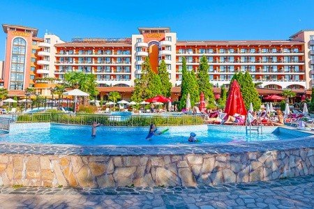 Hrizantema - Obrázek 3