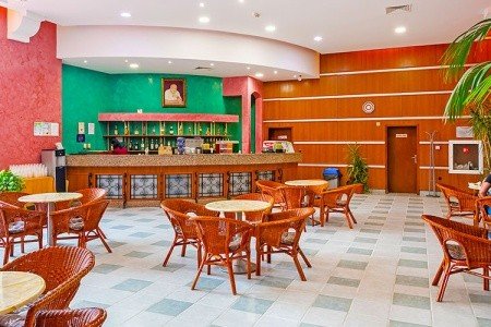 Hrizantema - Obrázek 4