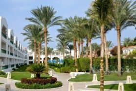 Baron Palms Resort
