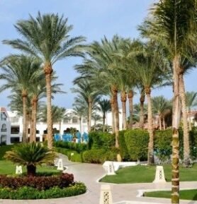 Baron Palms Resort