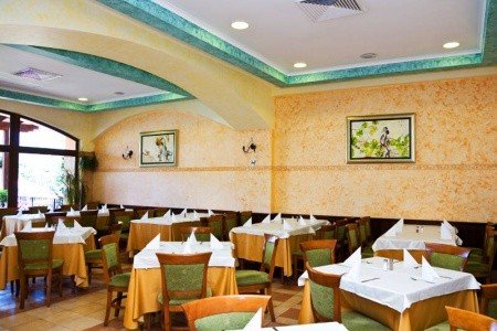 Hrizantema - Obrázek 3