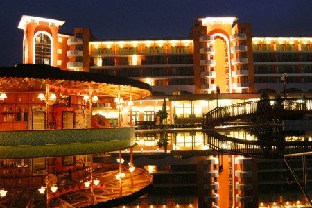 Hrizantema - Obrázek 4