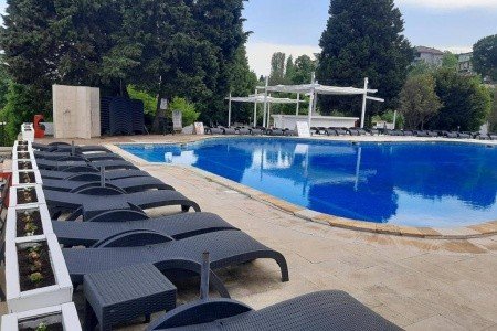 Detelina - Obrázek 3