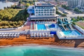 Lonicera West (Ex.gold Island Mondo)
