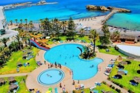 Delphin El Habib