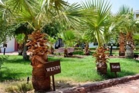 Tropitel Dahab Oasis