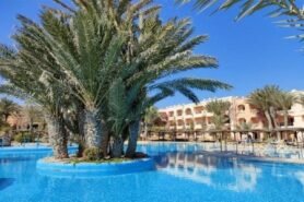 Vincci Safira Palms