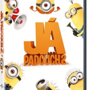 Já, padouch 2 - DVD