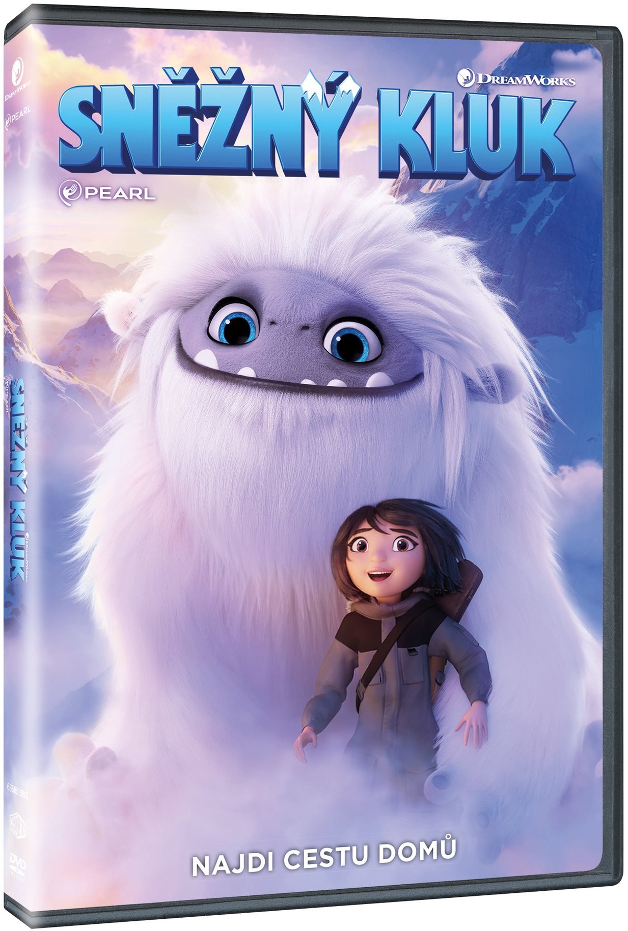 Sněžný kluk - DVD