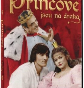 Princové jsou na draka - DVD