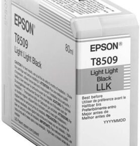 Epson T7850900 světle černá