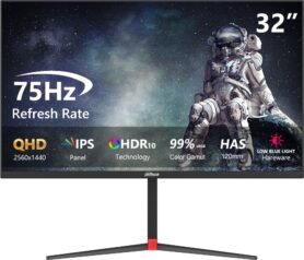31,5" Dahua LM32-P301A
