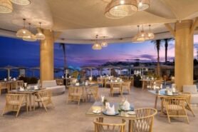 Novotel Palm