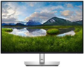 24" Dell P2425E Professional