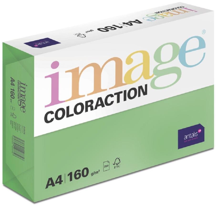 Antalis Barevný papír Dublin / tmavě zelený A4 / 160 g / 250 ks