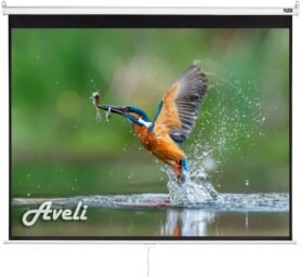 AVELI, roleta, 73", (4:3)