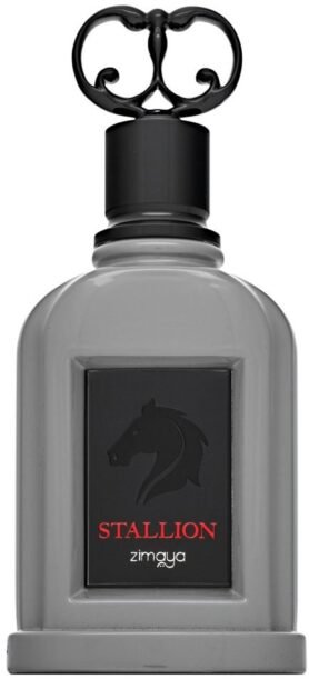 ZIMAYA Stallion EdP M 100 ml