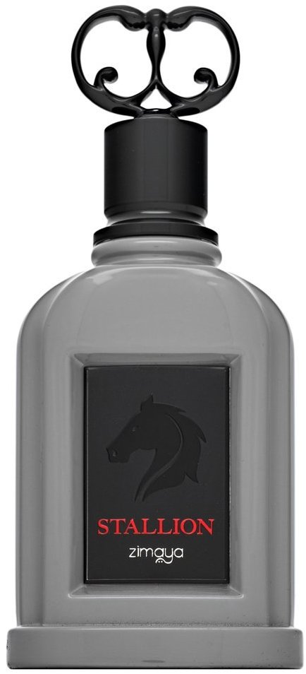 ZIMAYA Stallion EdP M 100 ml