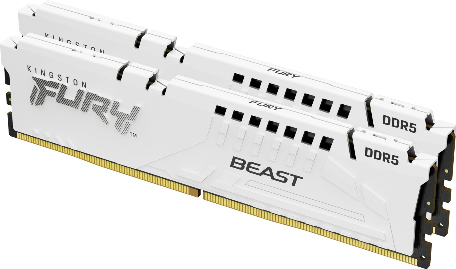 Kingston FURY 32GB KIT DDR5 6000MT/s CL36 Beast White EXPO