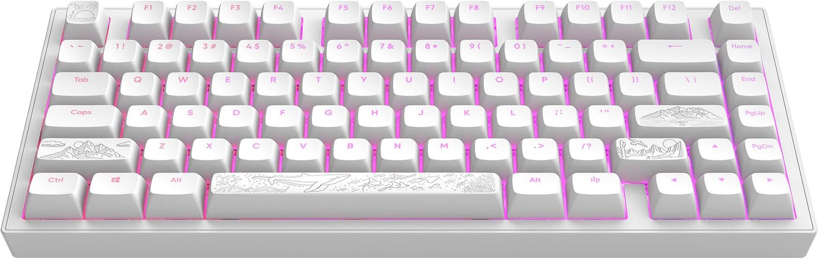 Dark Project ALU Terra Nostra White - US