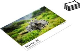 FOMEI PRO Pearl 265 A4/50